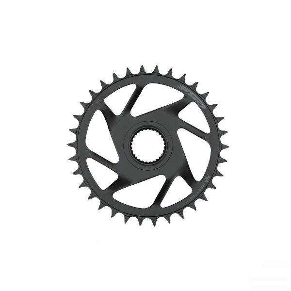 Plato E-BIKE MEGATOOTH MONTAJE DIRECTO BOSCH GEN4 1 X 12S