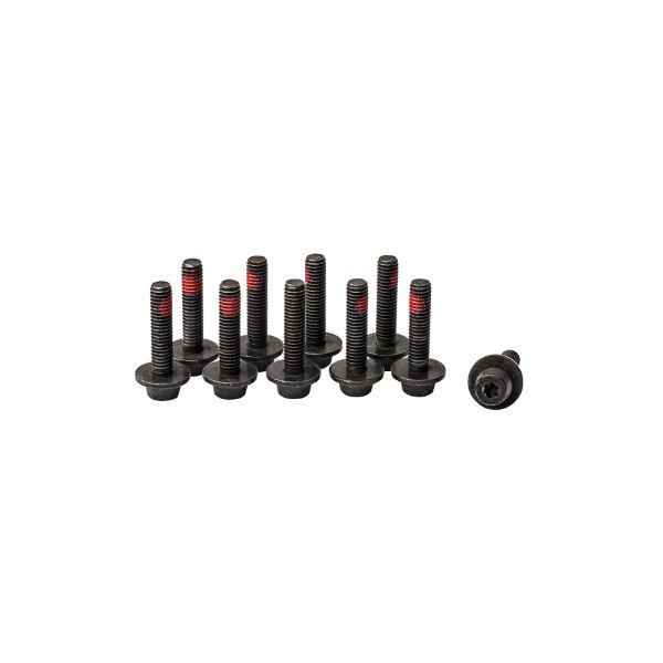 TORNILLO DE FIJACIÓN CENTRAL ADAPTADOR EASY MOUNT M6, SW5, Torx T25