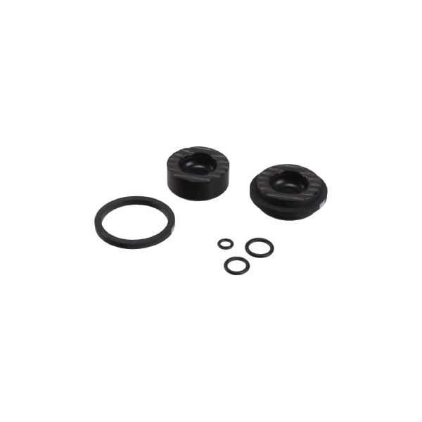 Kit de servicio pinza freno de disco RIVAL AXS D1