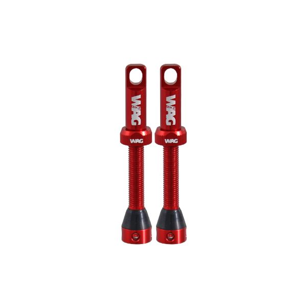 [421830863] Válvula tubeless de aleación par