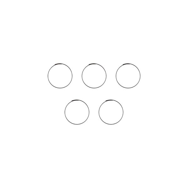 Resorte para cuerpo de rueda libre con cremallera de 33 mm 5-RM0-005 (5 piezas)