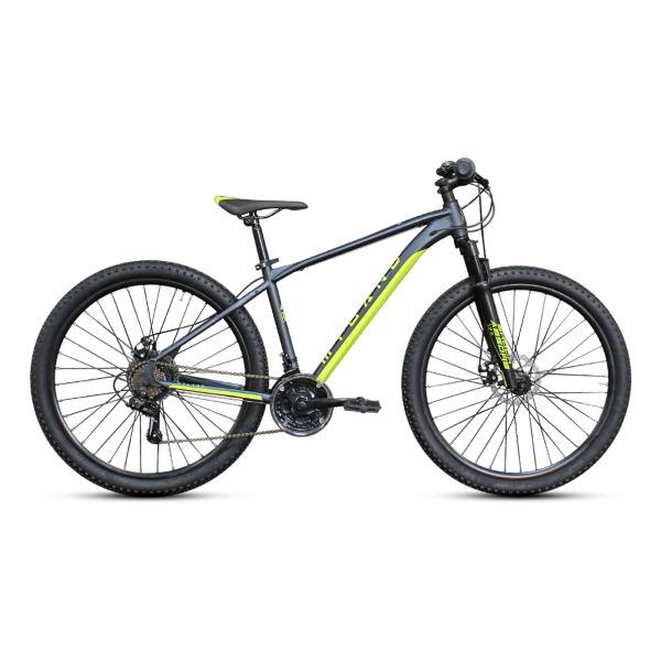 [B40295003] ALTURA 29