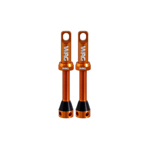 [421830867] Válvula tubeless de aleación par