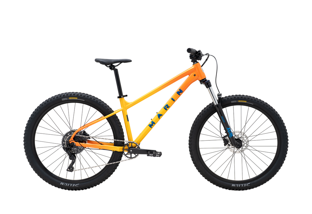 [740681001] SAN QUENTIN 1 27.5 YELLOW FADE, S