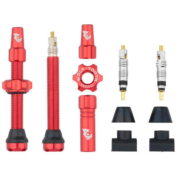 [421831307] Par de VÁLVULAS TUBELESS compatibles con inserts para neumáticos
