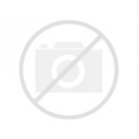 [310571] RUEDA CHRINA NEGRA CONTRAPEDAL