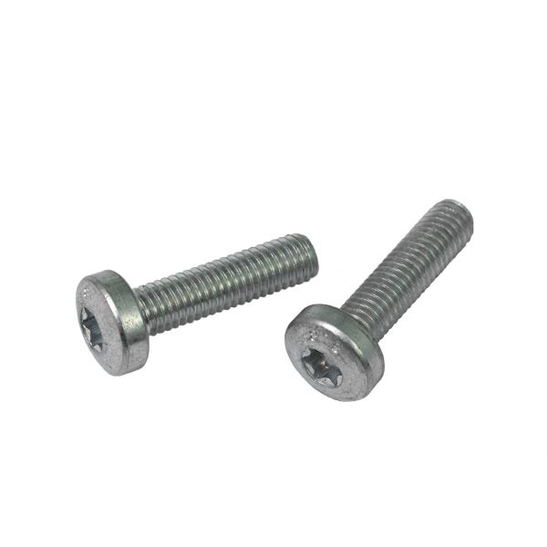 [546169023] Juego de tornillos para adaptador de soporte de batería de cuadro - Classic+